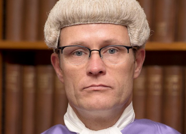 judge david evans devon exeter paedophiles